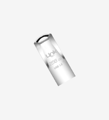 Linktech LUF-P256 Premium Pro 100 MB/s USB 3.0 256 GB Flash Bellek resmi